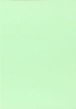 COPY CARD PASTEL A4 150g 250 GREEN