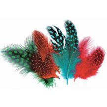 FEATHERS - PARTRIDGE - 10G COLOURED