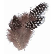 FEATHERS - PARTRIDGE - 10g NATURAL