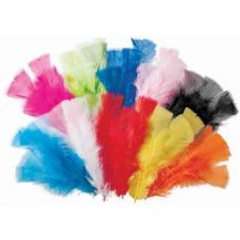 FEATHERS BAG OF 50g (250) - ASST