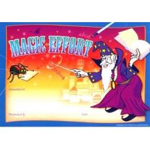 MERIT CERTIFICATE - MAGIC EFFORT (35)