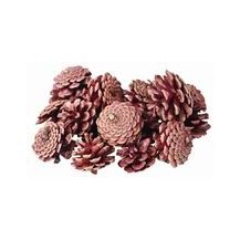 PINE CONES 200G (APPROX 22)