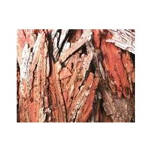 BARK PIECES ASSORTED 250G